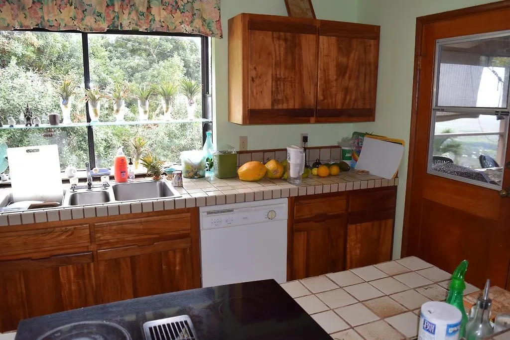 A Beautiful Edge Of The World Bed & Breakfast Captain Cook